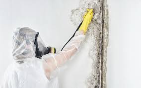 Best Mold Prevention Services  in Richmond, IL